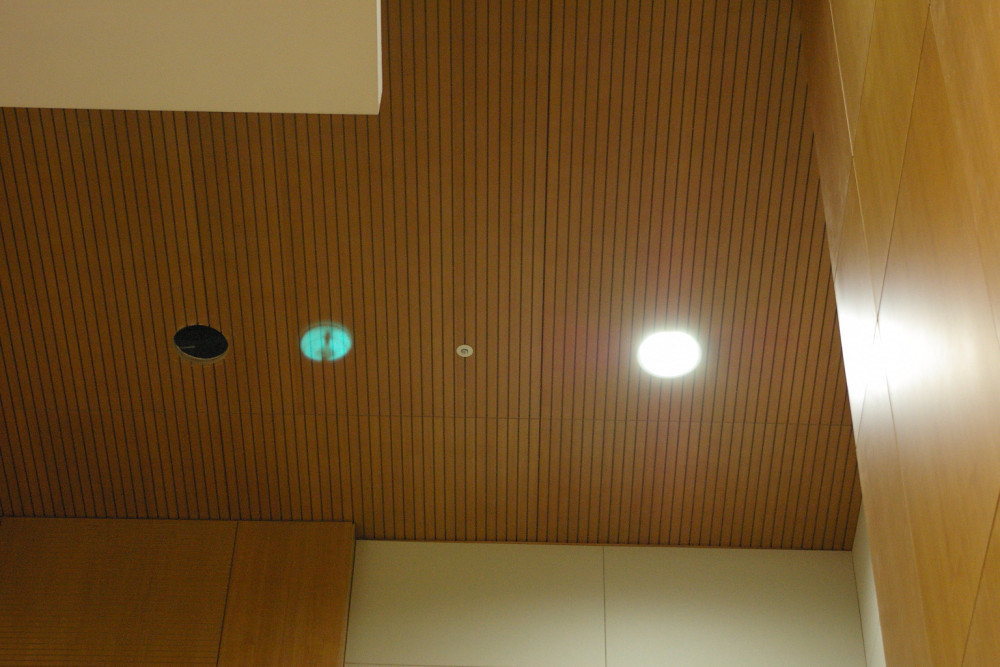 ab8b98645c821c70c8819544b3b33ea7_1755494180_2752.JPG